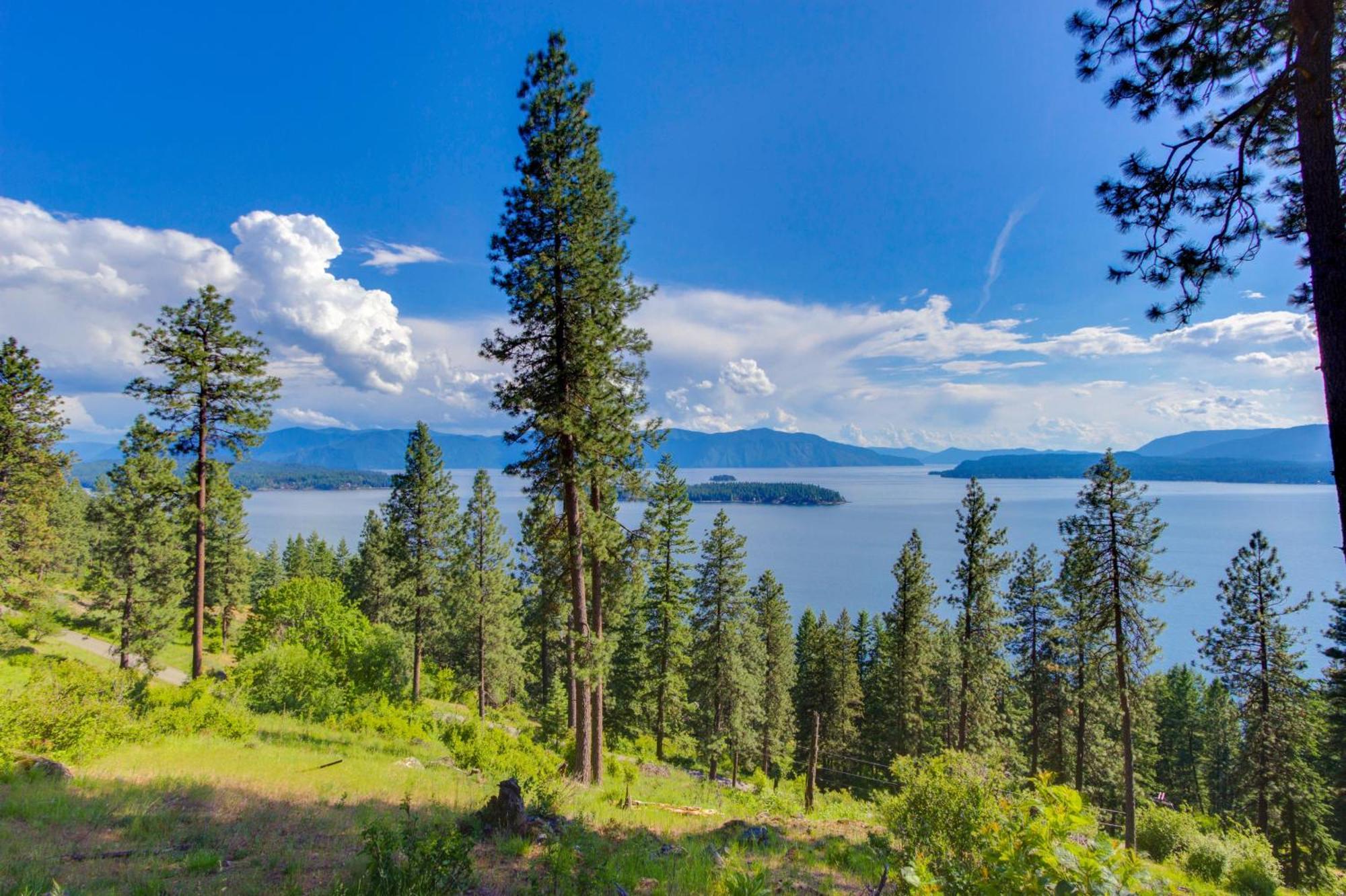 Driftwood 5 Apartment Sandpoint Exterior photo